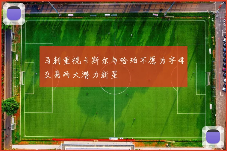 马刺重视卡斯尔与哈珀不愿为字母交易两大潜力新星